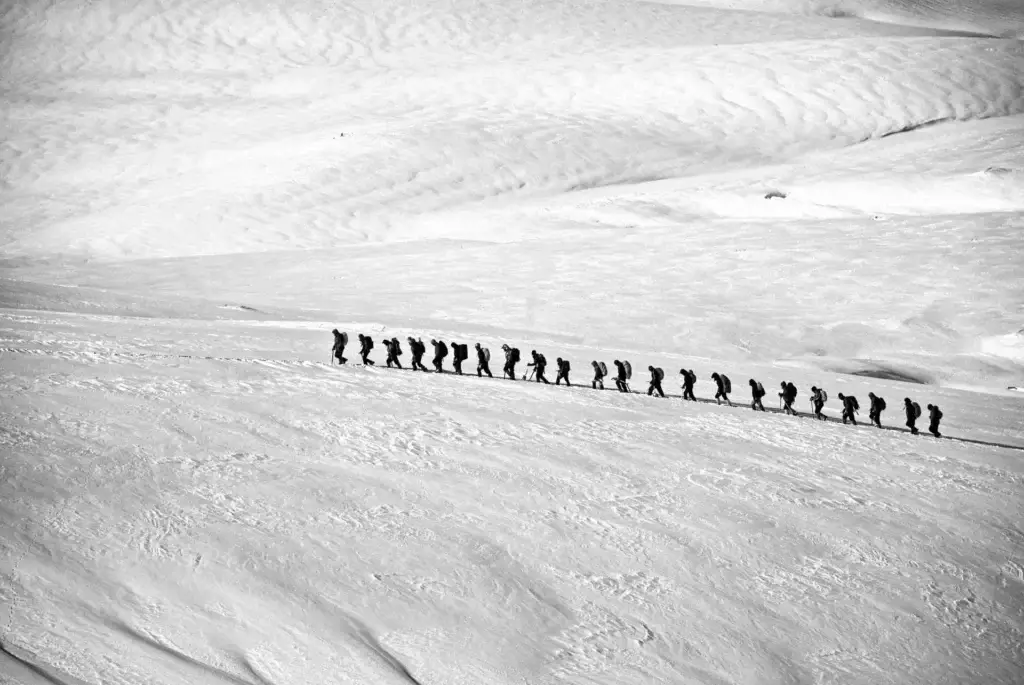 Des alpinistes progressent ensemble en cordée sur une paroi de montagne, pour illustrer la coopération et la coordination dans le travail d'équipe.