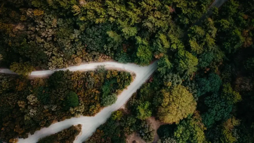 Un sentier de montagne qui s'ouvre sur d'autres sentiers à explorer, c'est-à-dire la découverte de nouvelles possibilités offertes par l'intelligence artificielle.